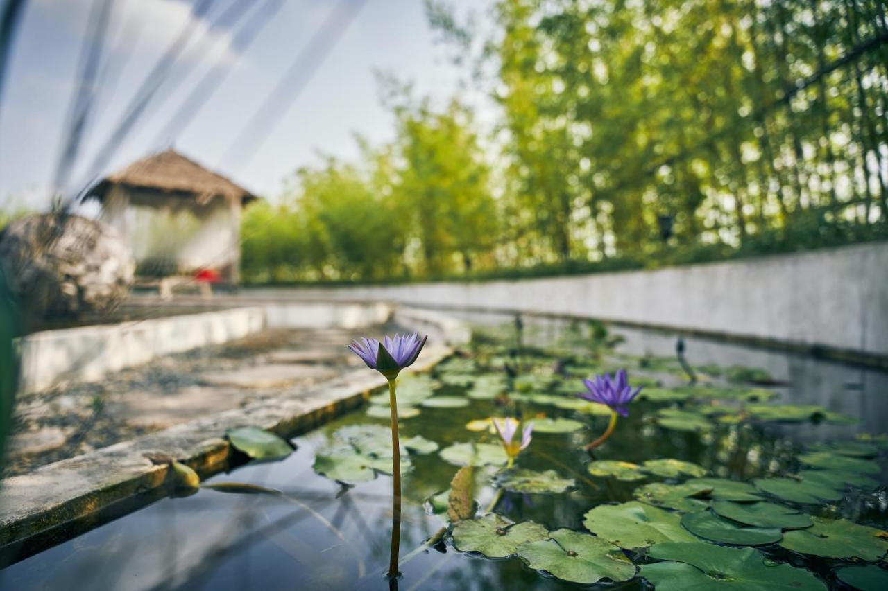 Manli Hotel Shanghai Pudong Airport - Pet Friendly Εξωτερικό φωτογραφία